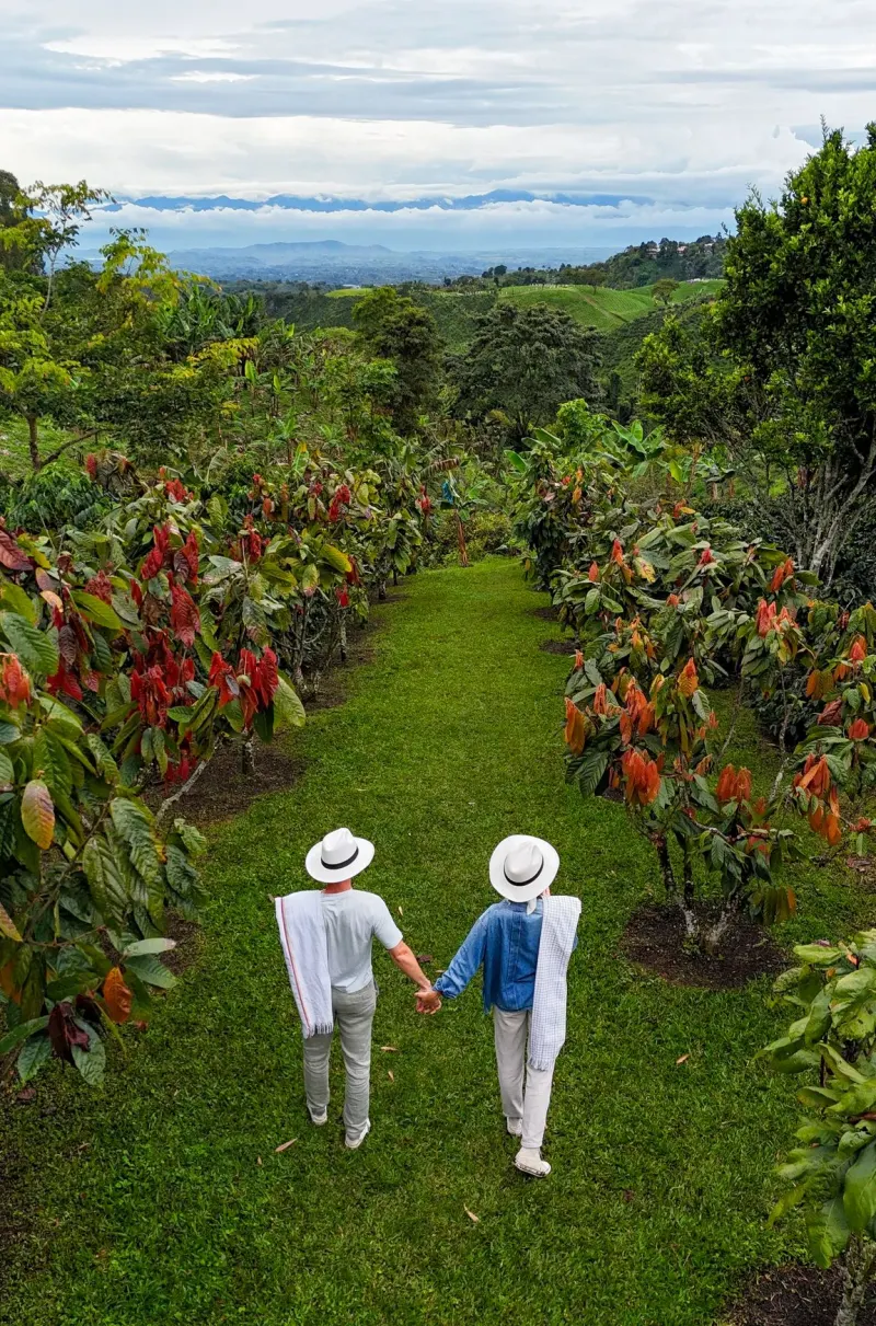 Marie and Romain hand in hand, wearing Colombian hats, in a cocoa plantation in Colombia