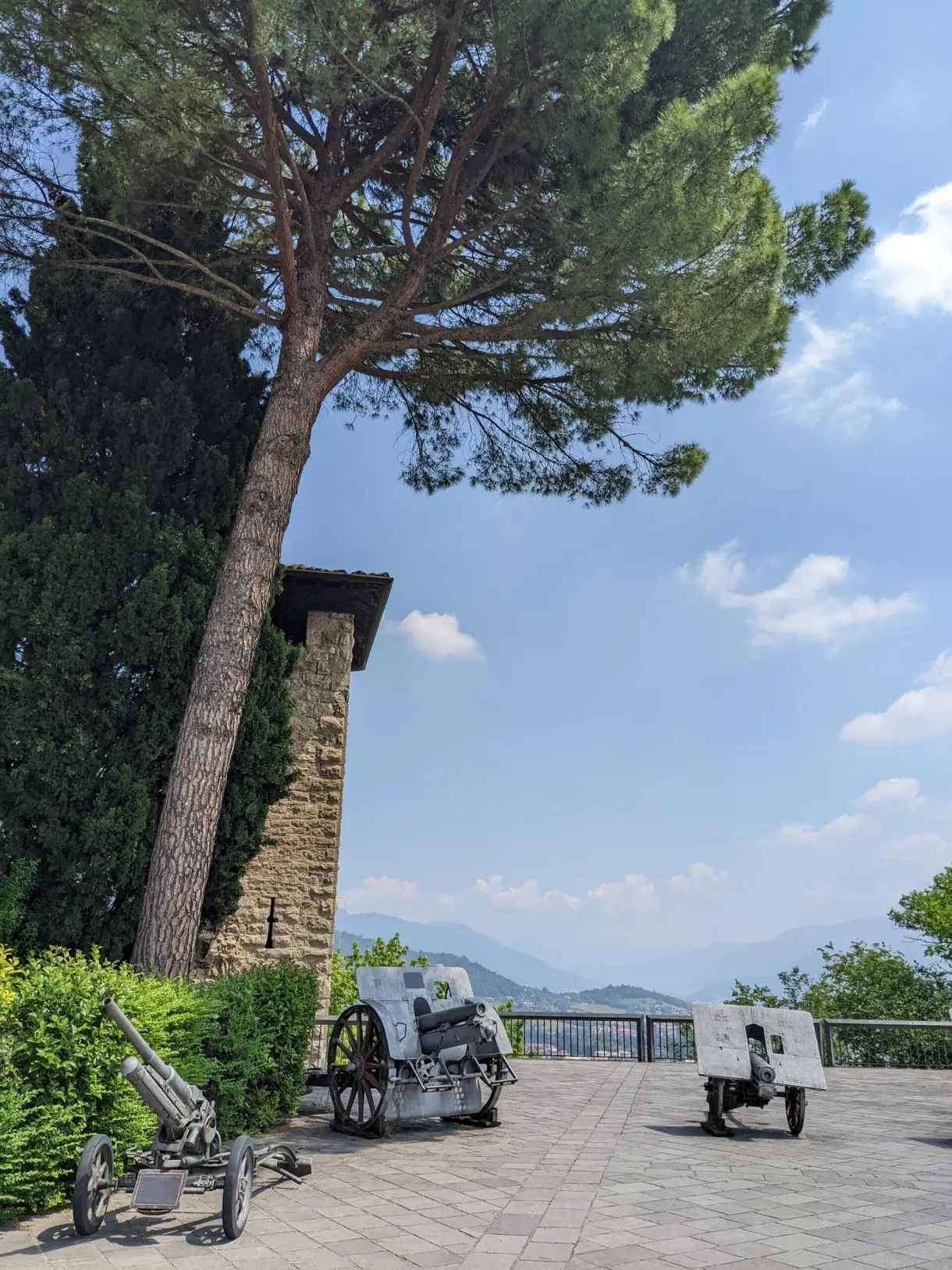 Old cannons lined up on a terrace shaded by a large pine
