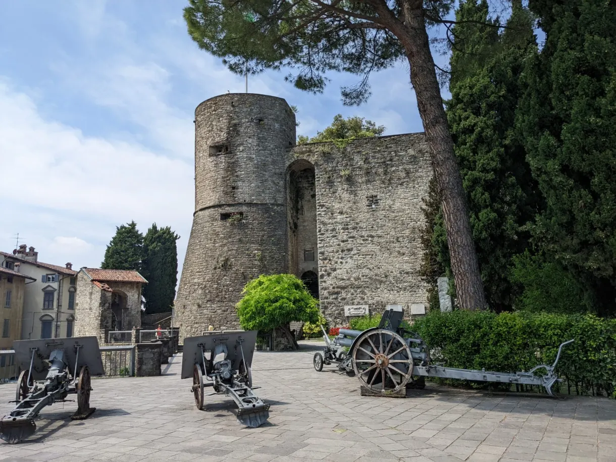 Round stone tower framed by umbrella pines