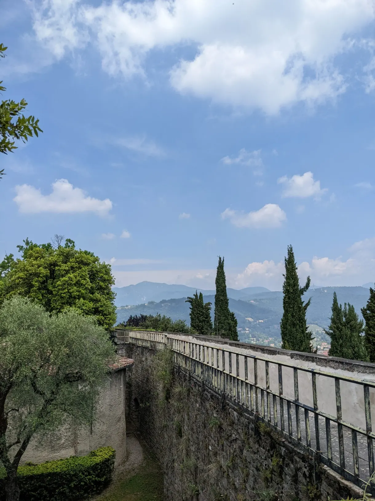 Path lined with a low wall and cypresses under the clouds