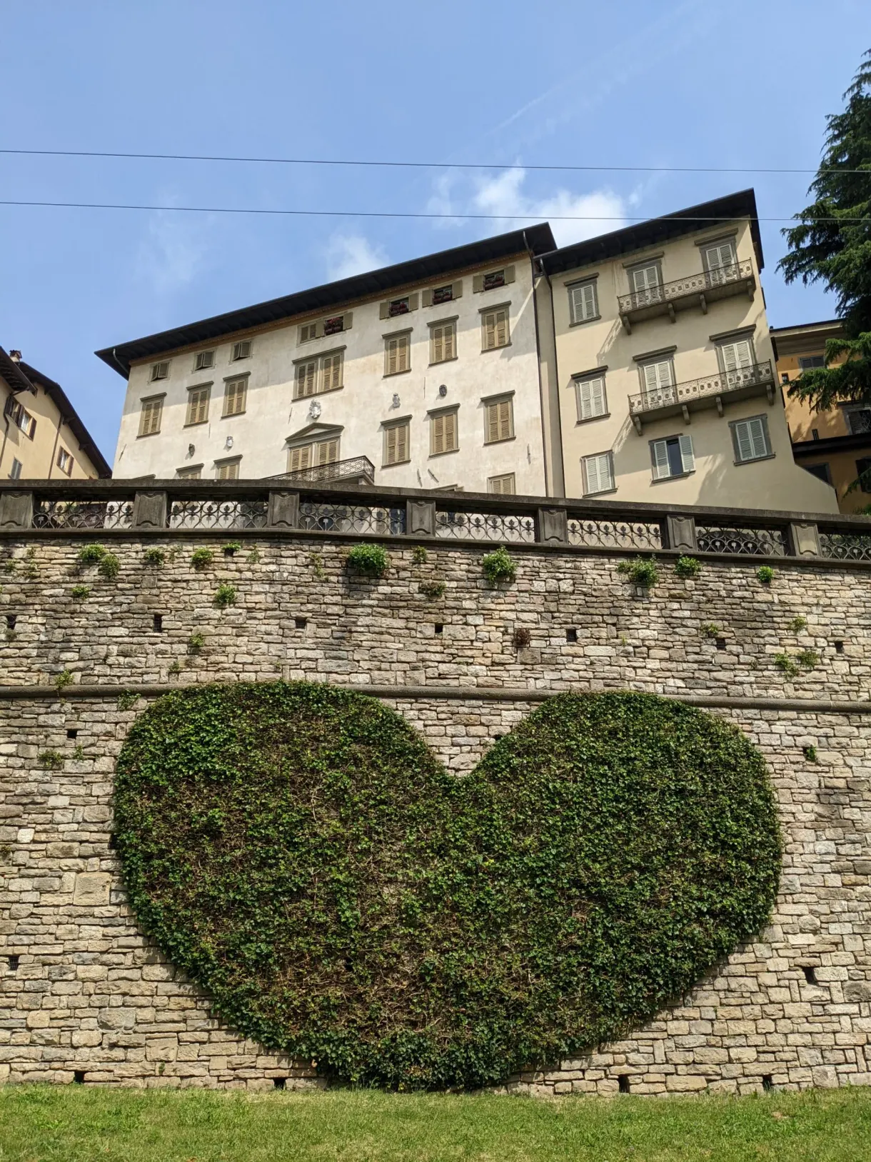 Ivy heart clipped on a retaining wall