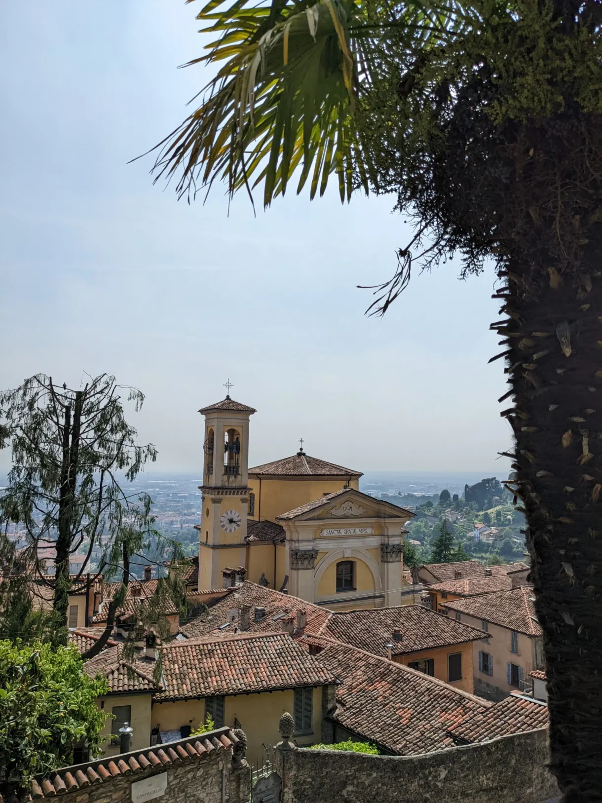Yellow bell tower and roofs glimpsed between palm trees