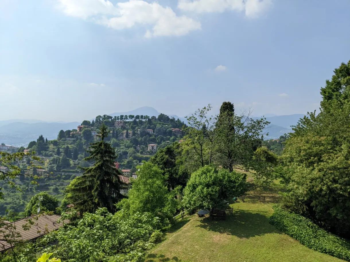 Terraced lawn opening onto the wooded hills