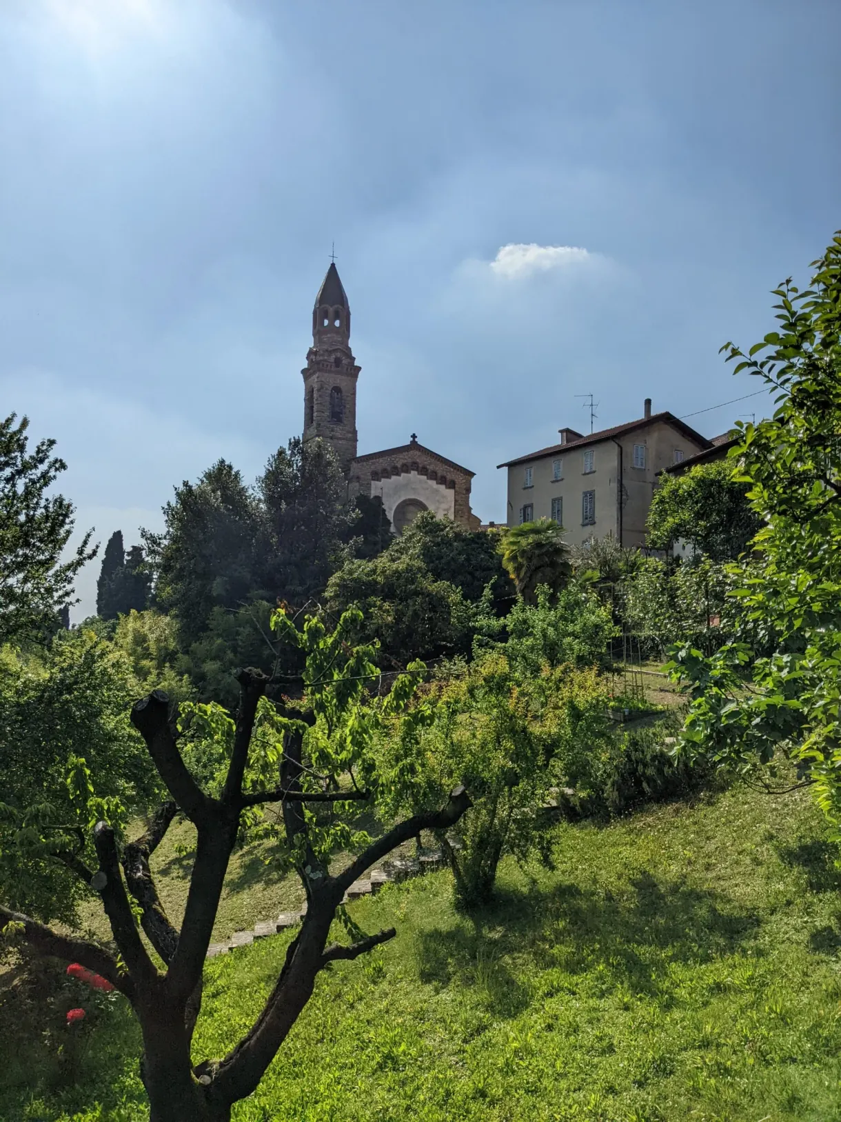 Slender bell tower above a meadow and a bare tree