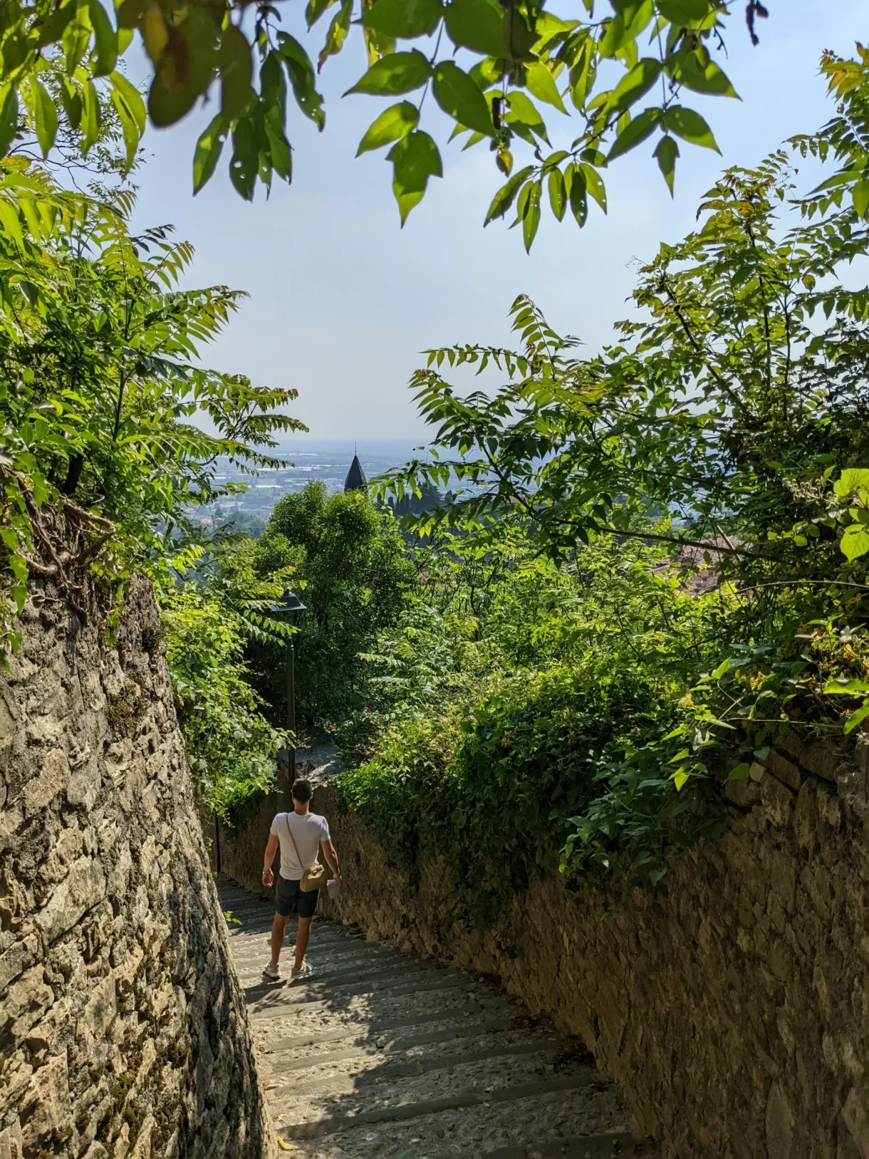 Walker seen from behind on a shaded downhill path