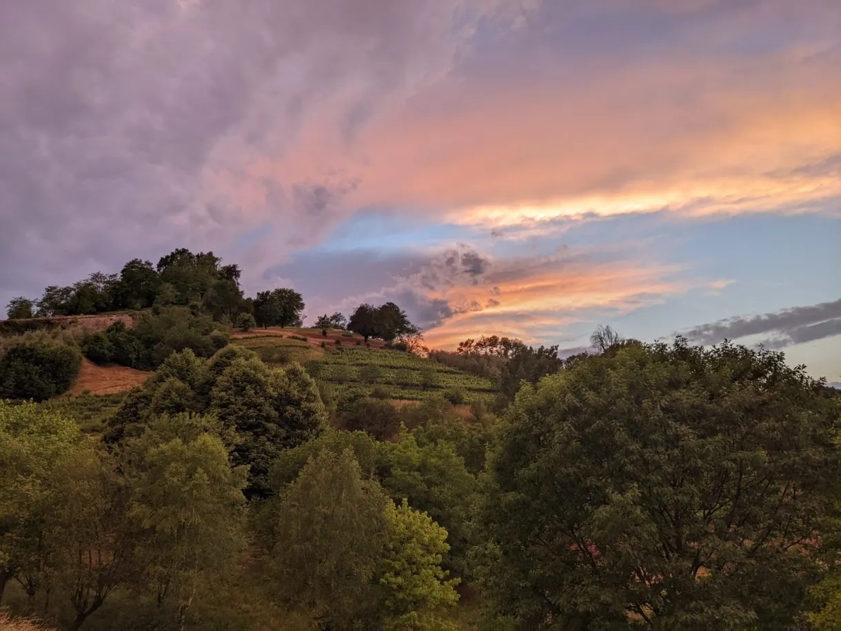 Pink and orange sky above a wooded hill