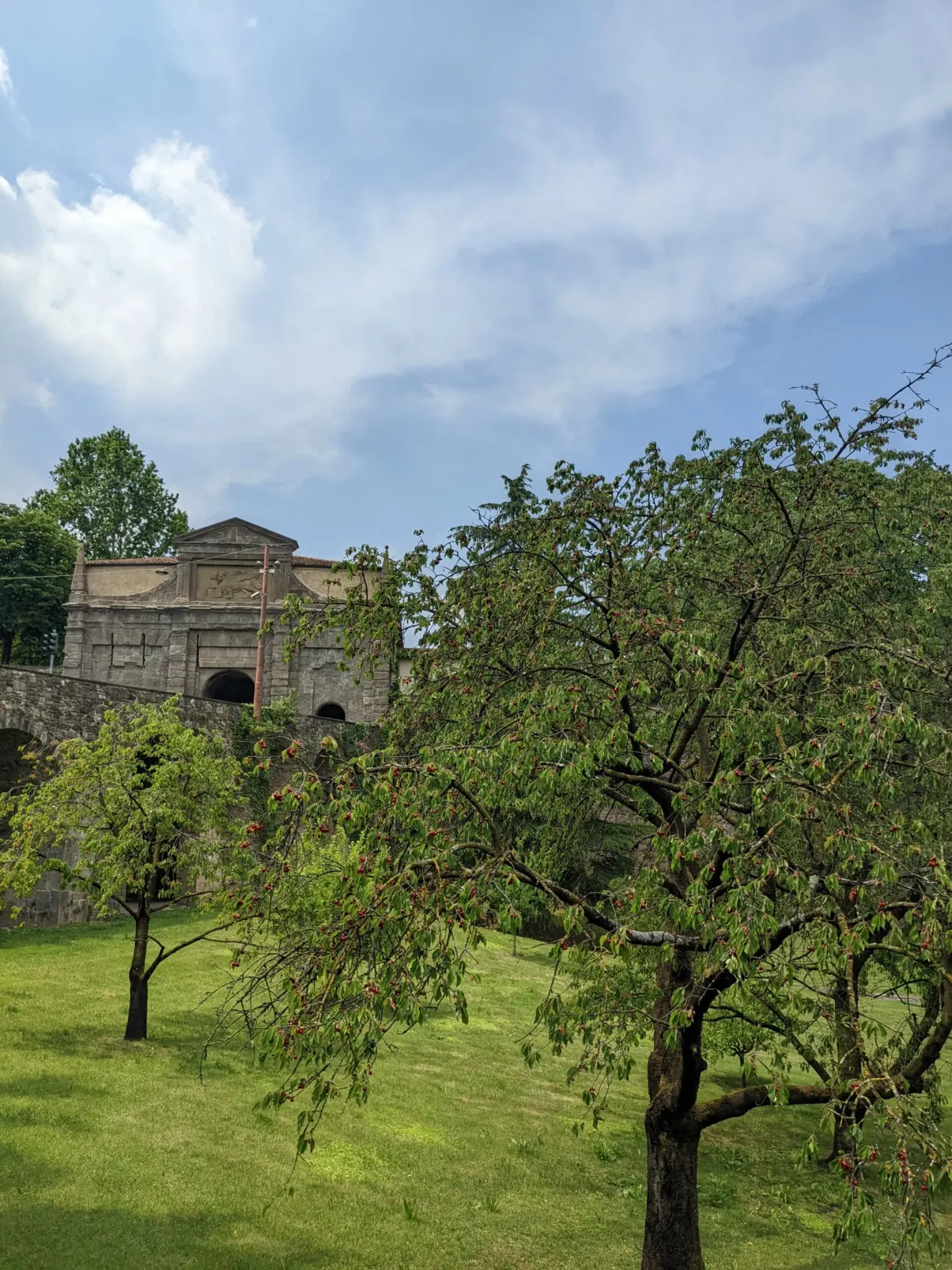 Wooded meadow in front of a gate cut through the rampart