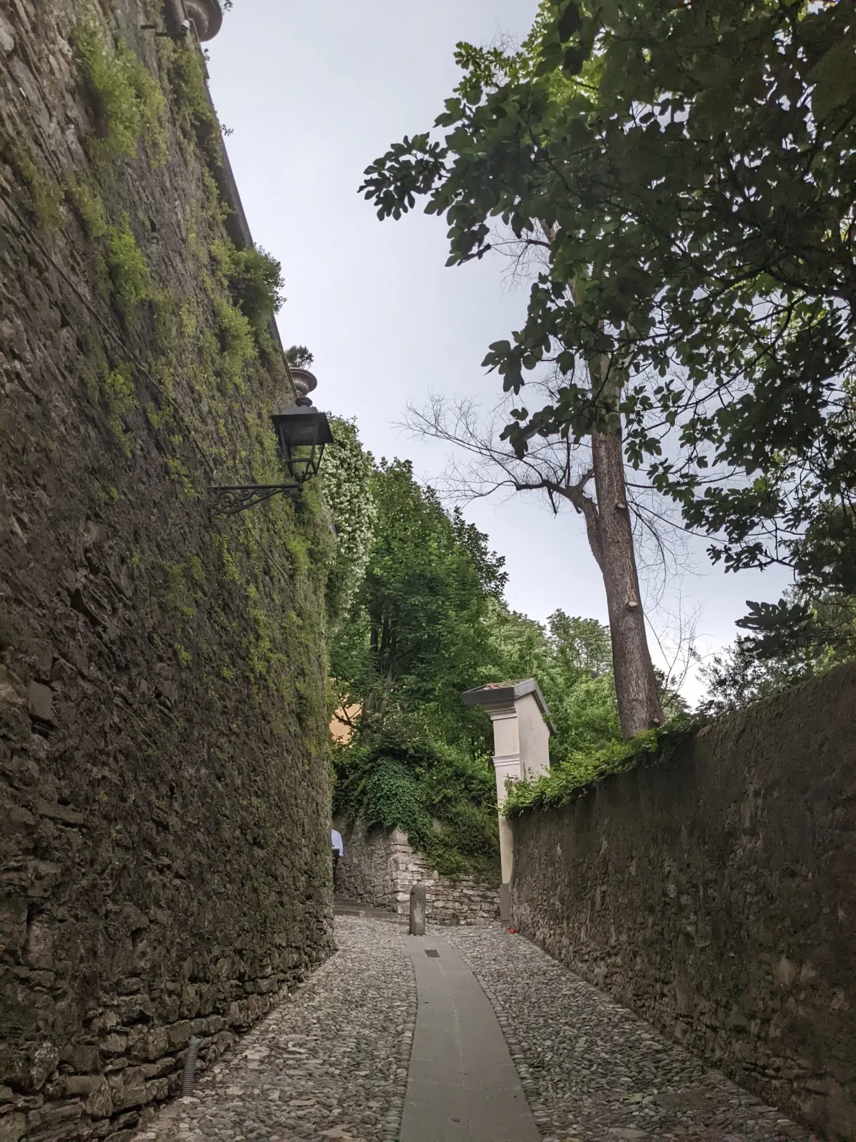 Alleyway climbing tightly between two high walls