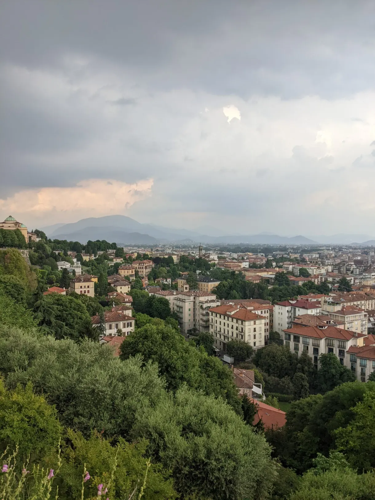 Lower town and plain seen from the wooded heights