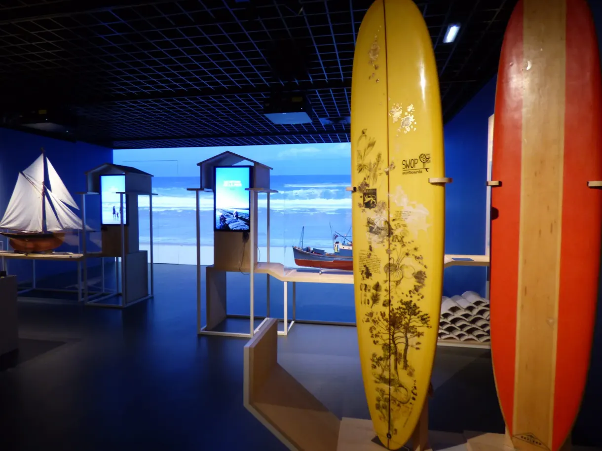 Planches de surf jaune et rouge dressées devant un décor marin