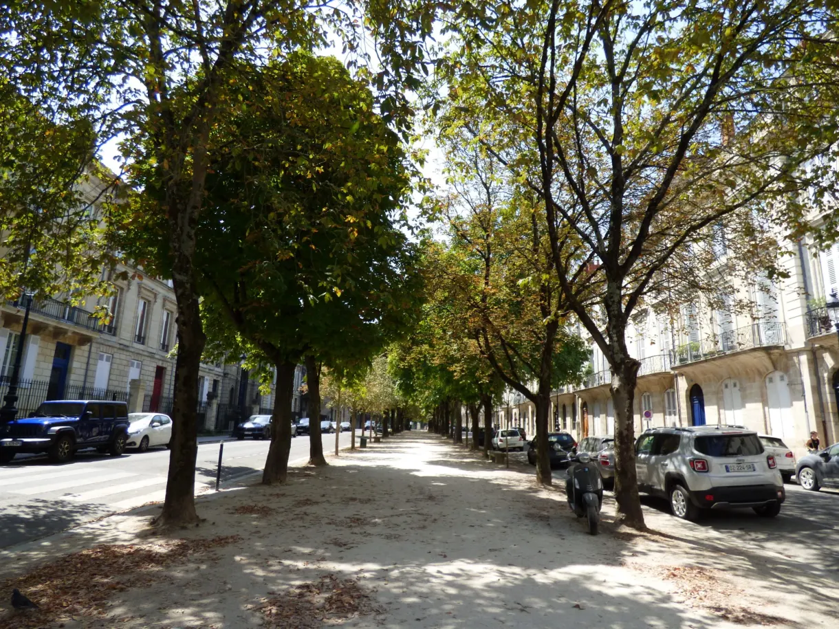 Allée de gravier ombragée d'arbres le long d'immeubles clairs