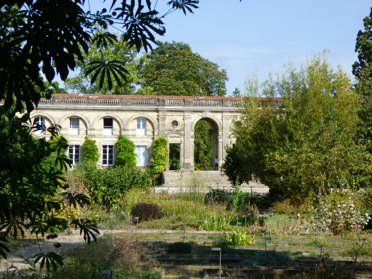 Orangerie aux arcades reflétée dans un bassin envahi de verdure