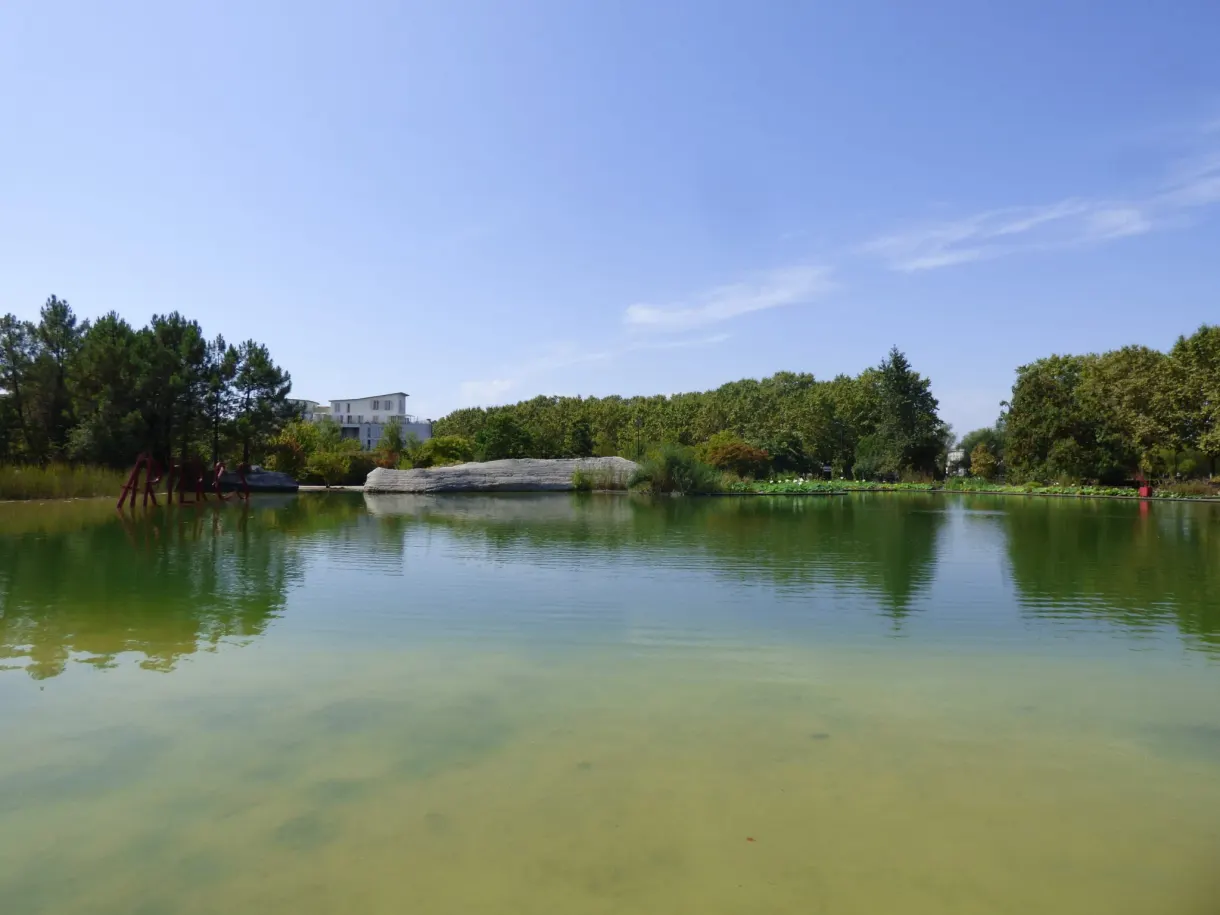 Plan d'eau verdâtre cerné d'arbres dans un parc de la rive droite