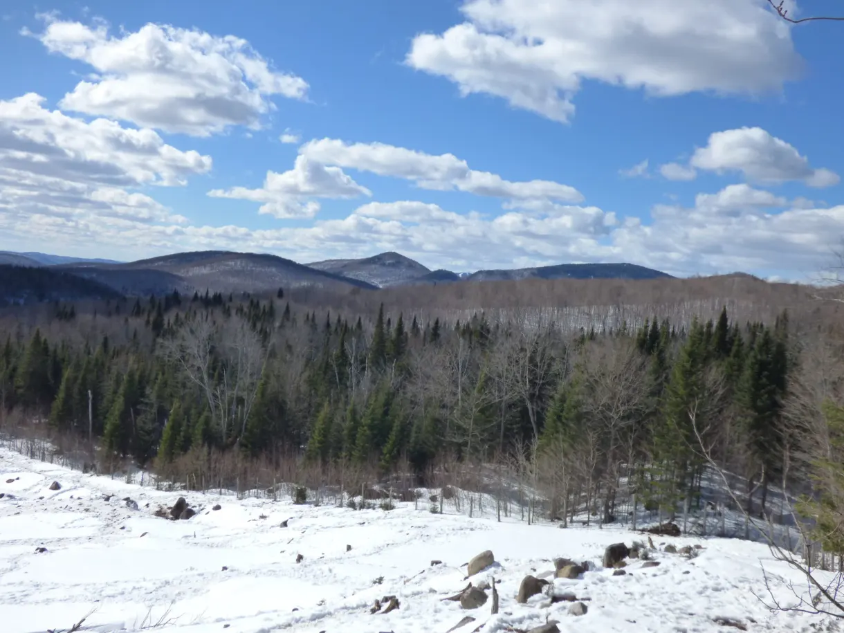 Panorama de collines boisées sous la neige des Laurentides