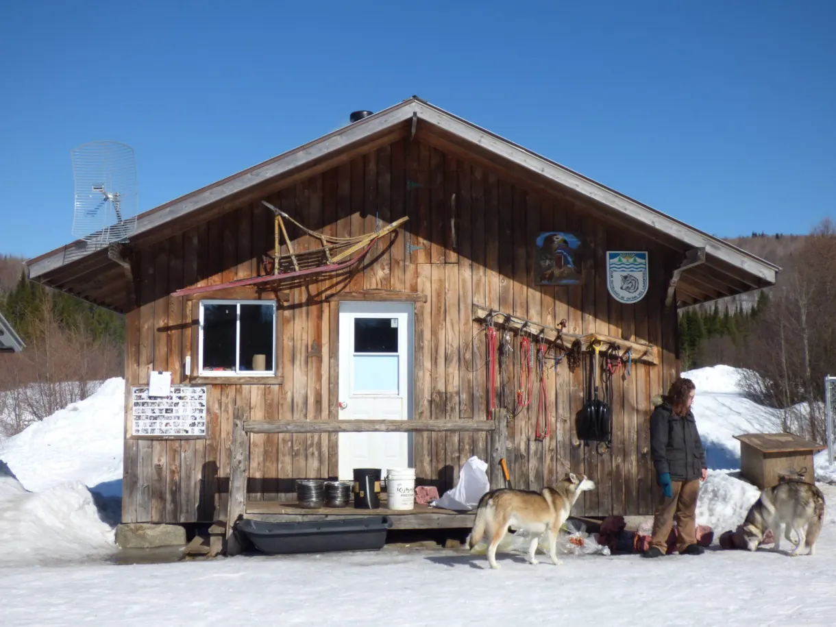 Cabane en rondins et chiens devant le chenil
