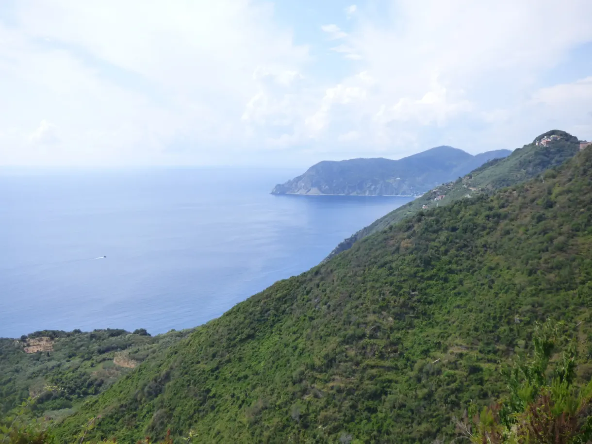 Versants verts et cap lointain sur la côte des Cinque Terre