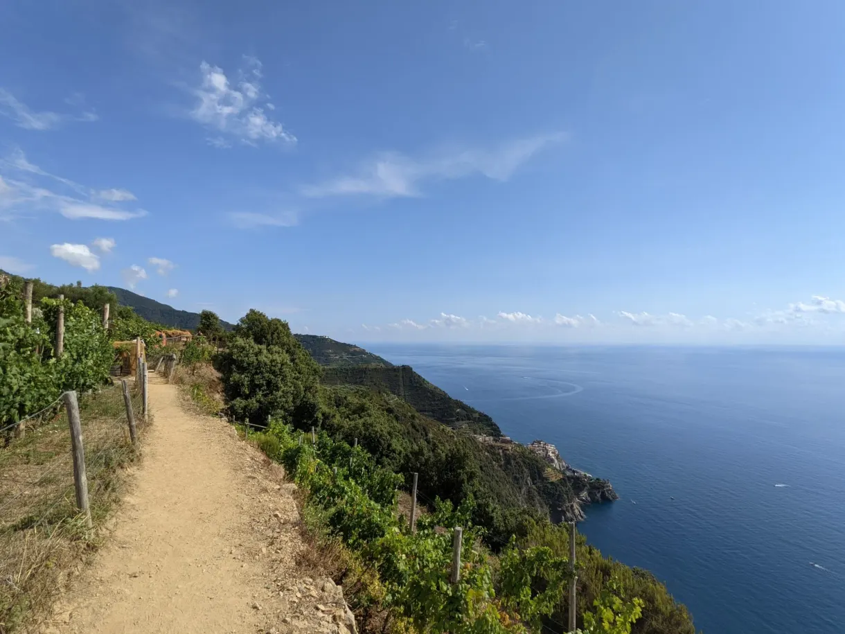 Sentier de terre serpentant entre les vignes au bord du vide