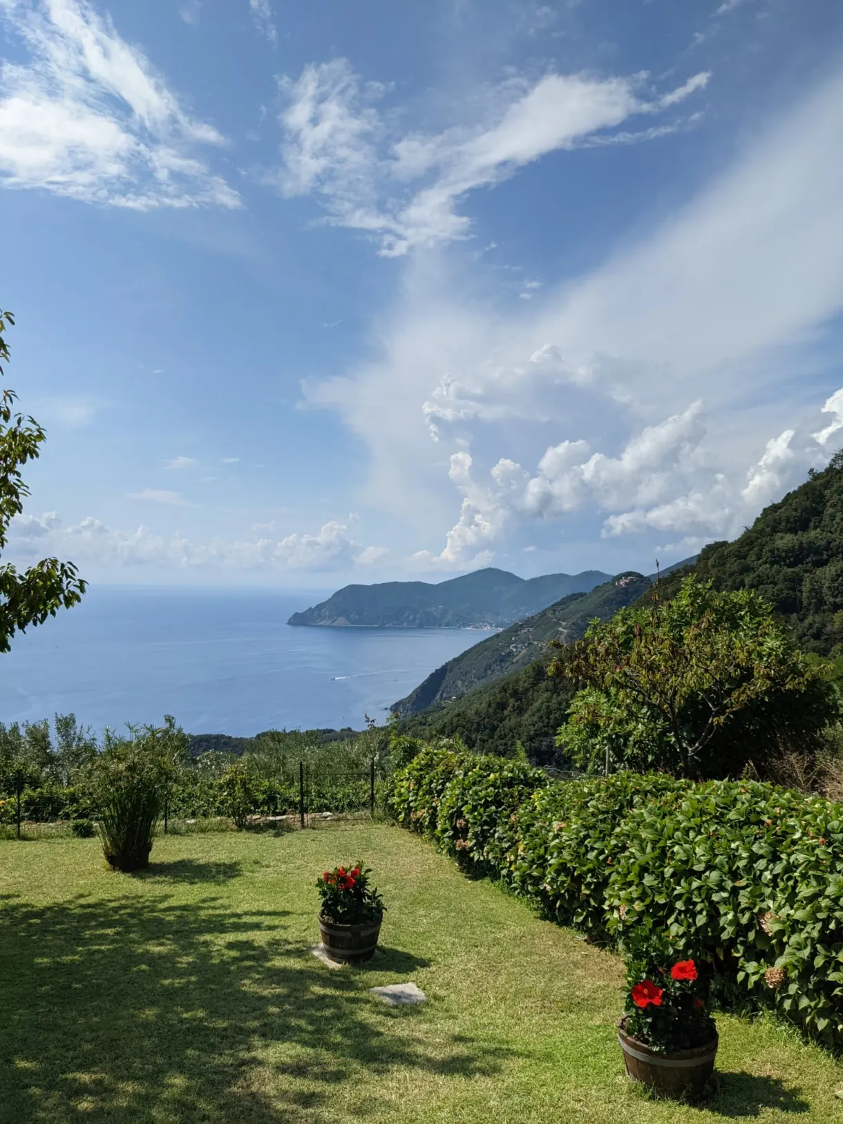 Jardin fleuri en pots ouvert sur la mer et le cap