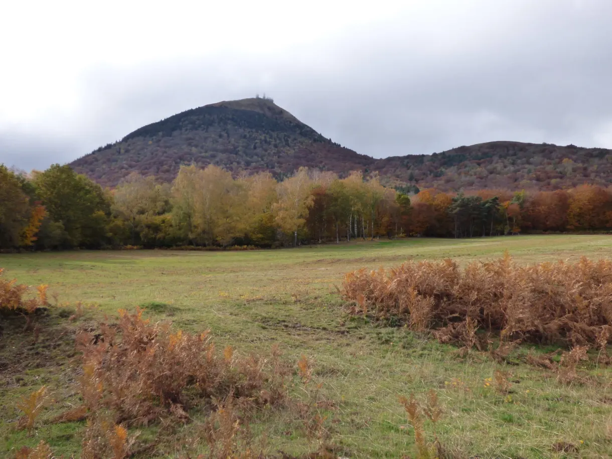 Autumn meadow at the foot of the wooded volcanic dome