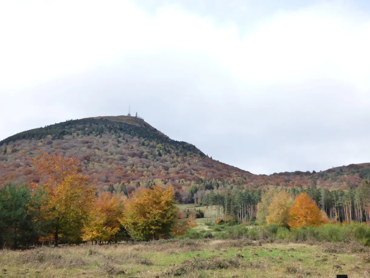 Orange foliage in front of the rounded outline of the volcano