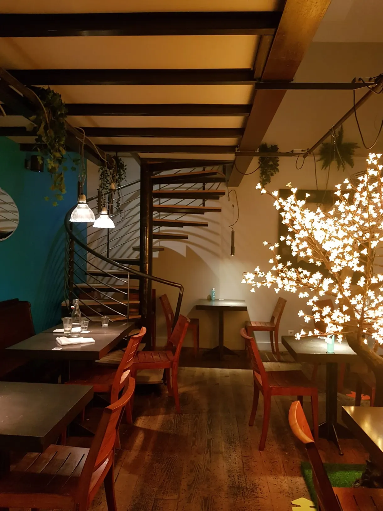 Warm restaurant dining room and its lit-up tree