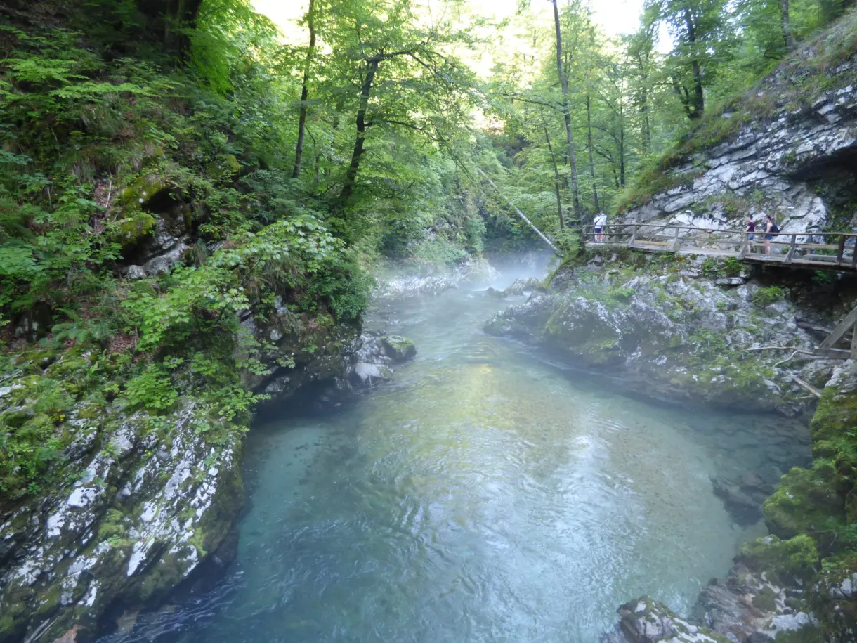 Rivière turquoise et embruns sous les frondaisons de la gorge