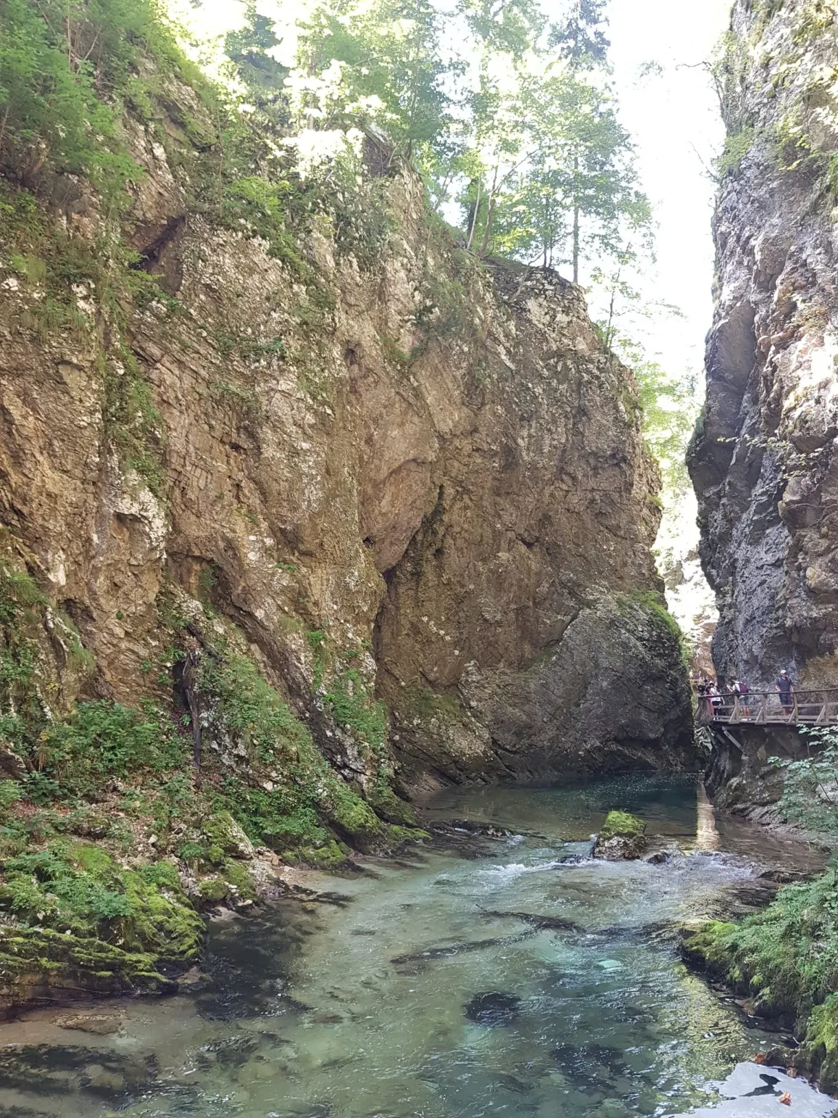 Parois rocheuses resserrées au-dessus du ruisseau