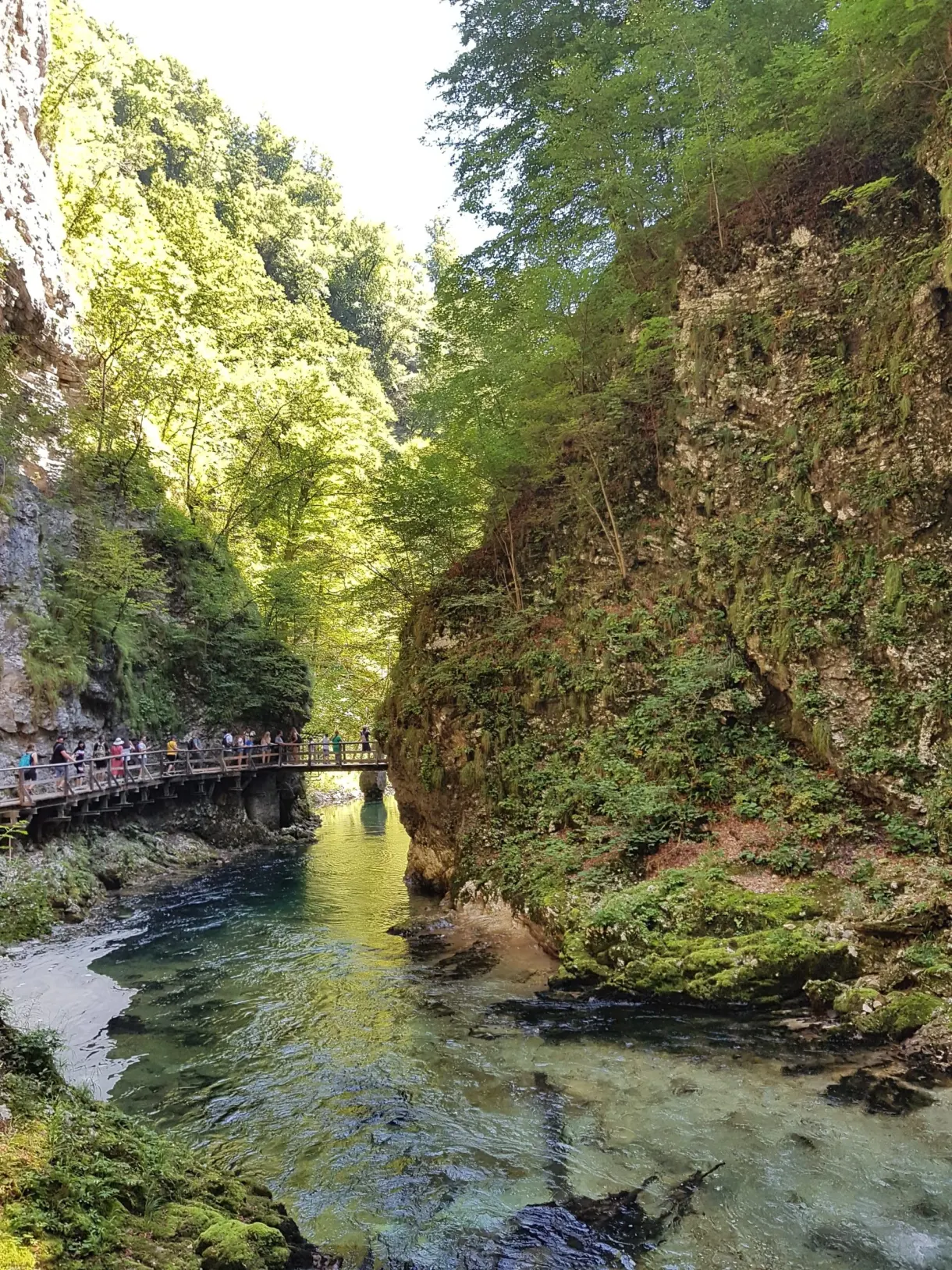 Passerelle longeant une falaise moussue au fil de l'eau