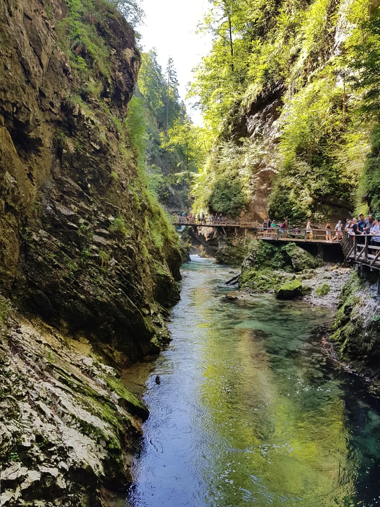 Gorge encaissée où la passerelle se glisse en hauteur