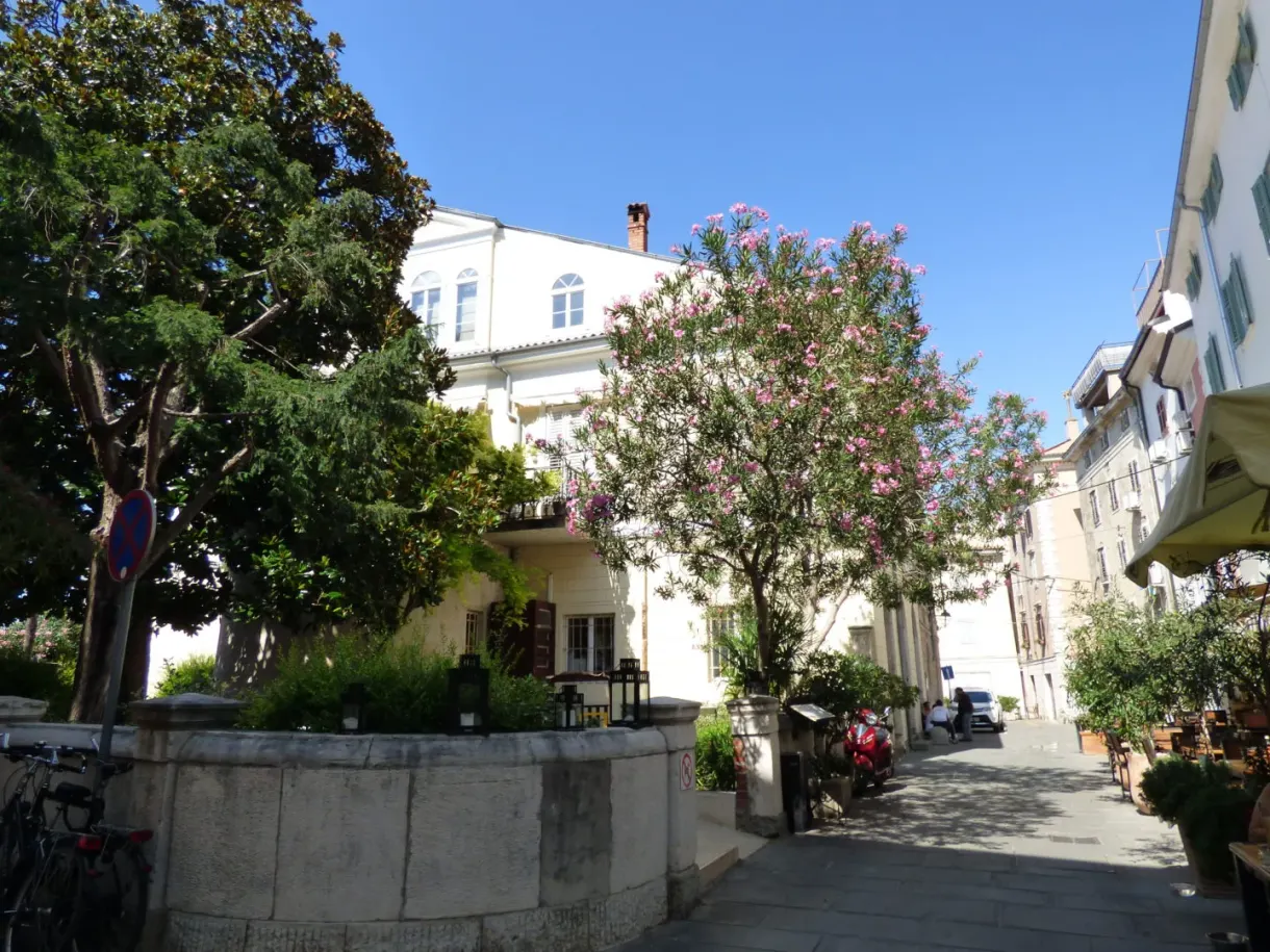 Small square shaded by oleanders around a stone basin