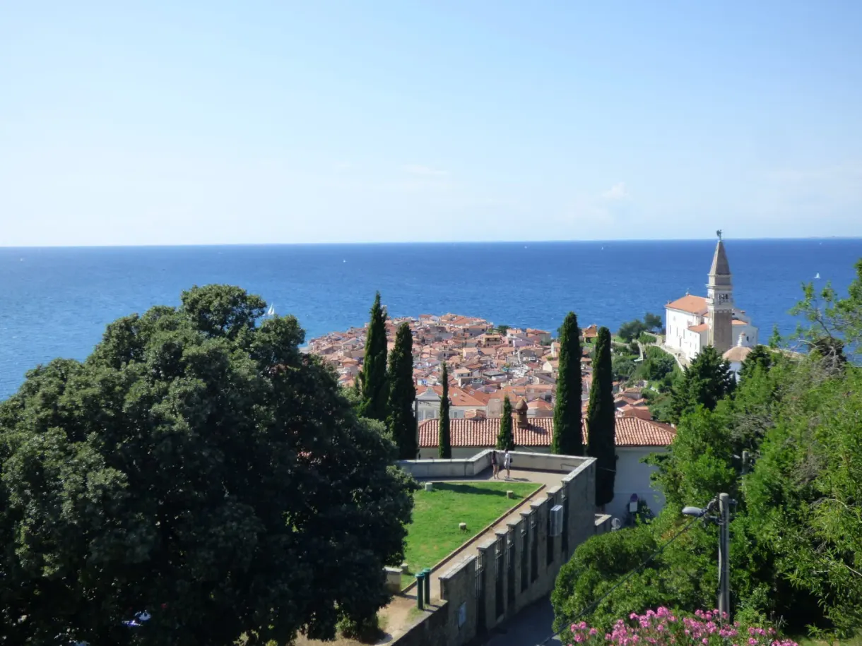 Roofs of the old town and the sea glimpsed behind a large tree