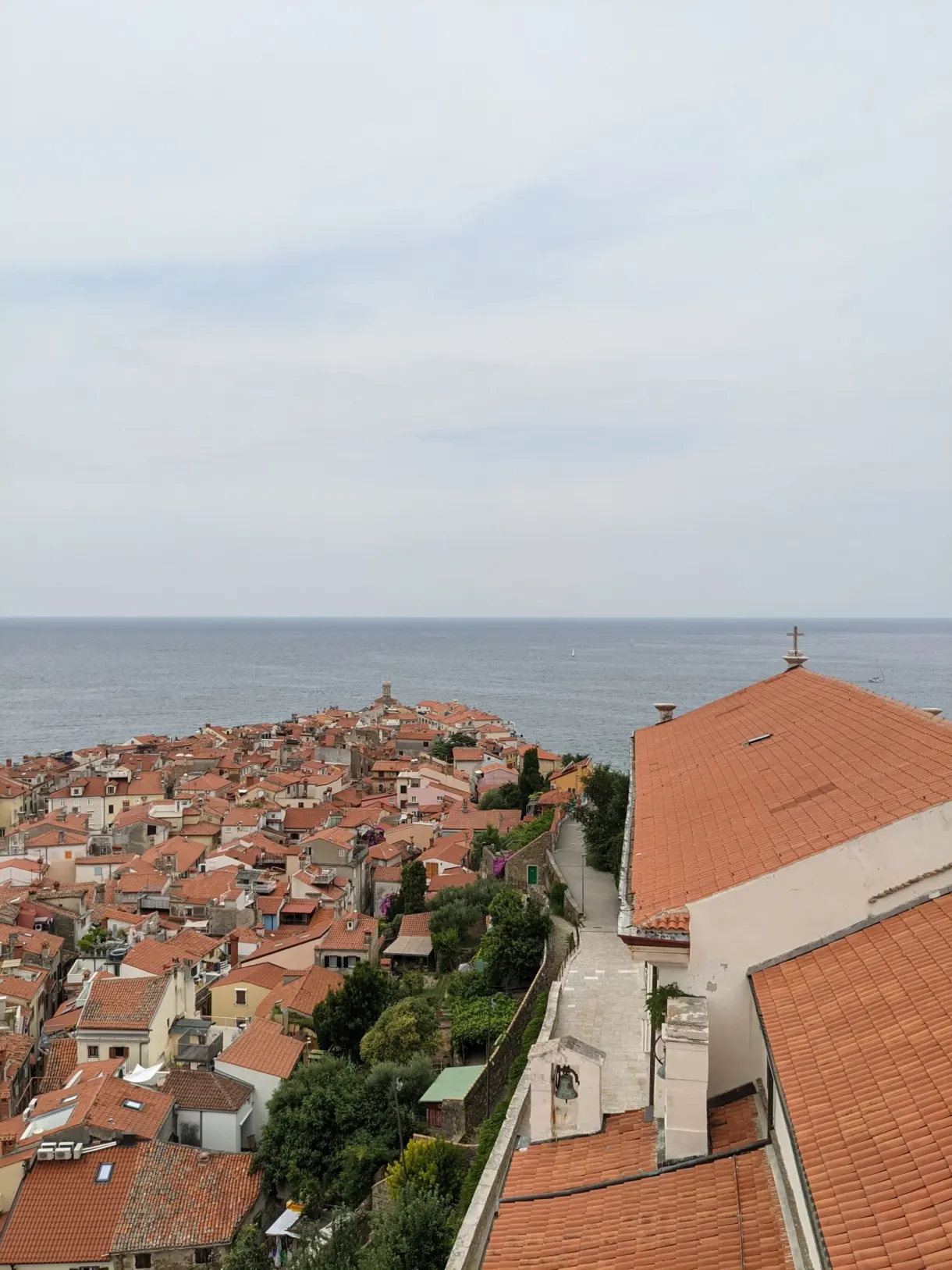 Succession of tiled roofs sloping down towards the sea
