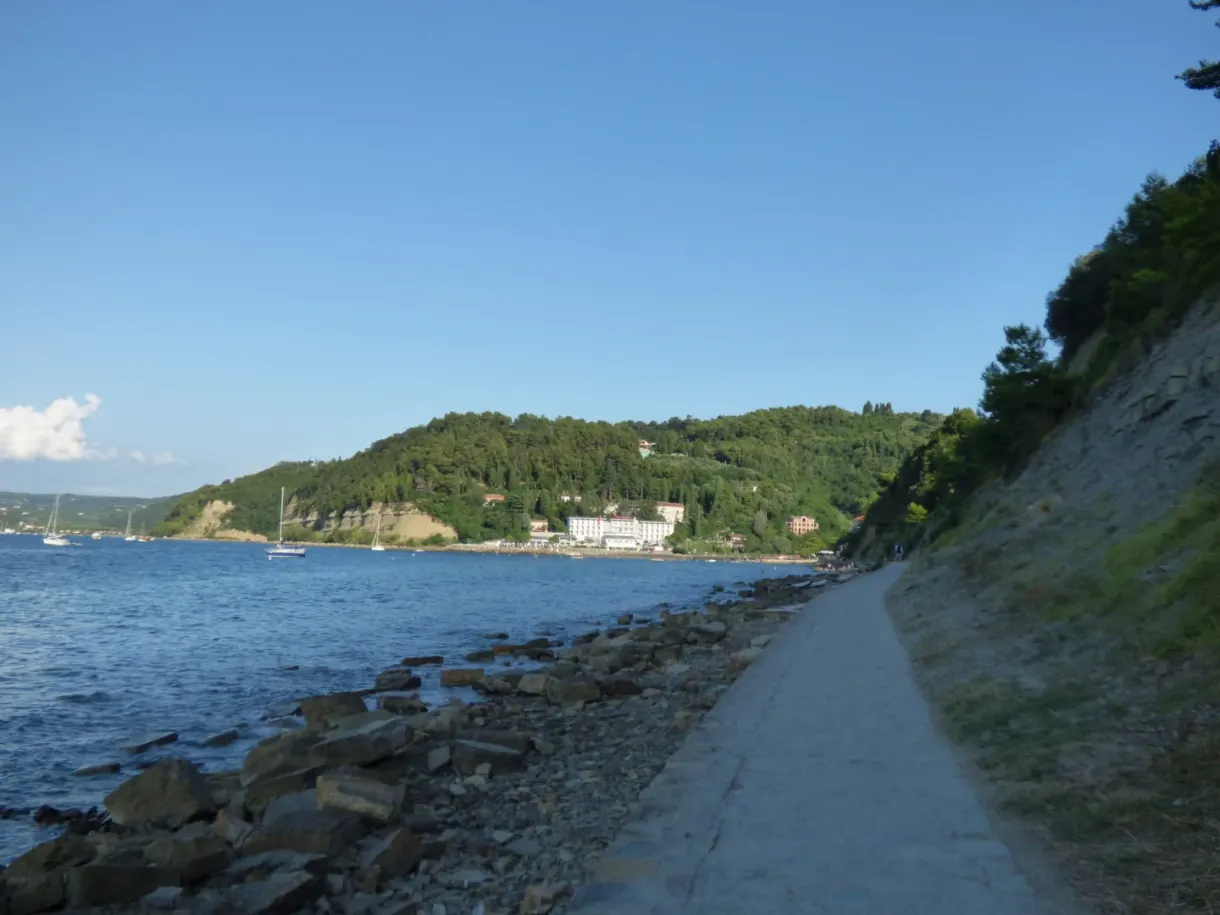 Coastal path running towards a wooded cove