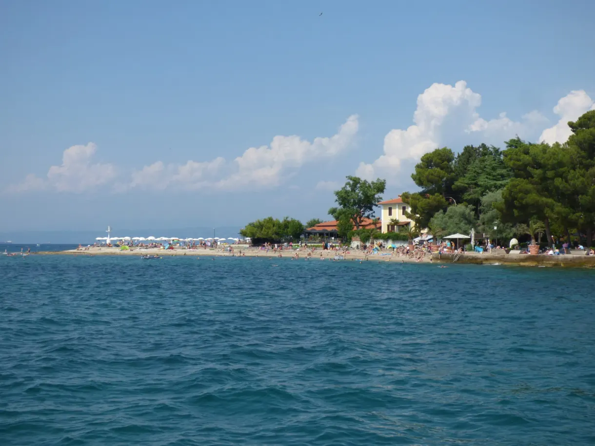 Long beach lined with pines seen from the sea