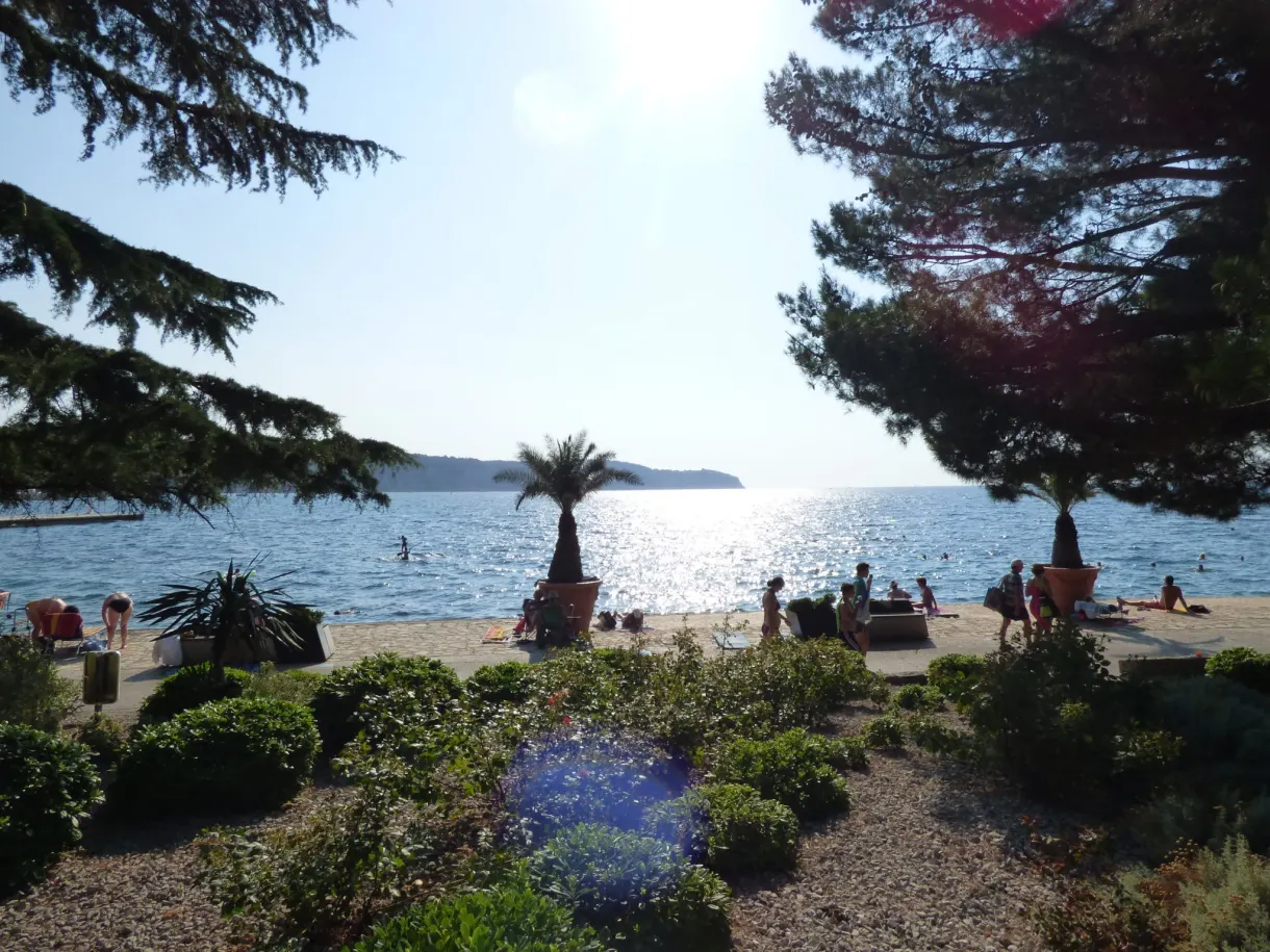 Flower garden opening onto a beach and its umbrella pines