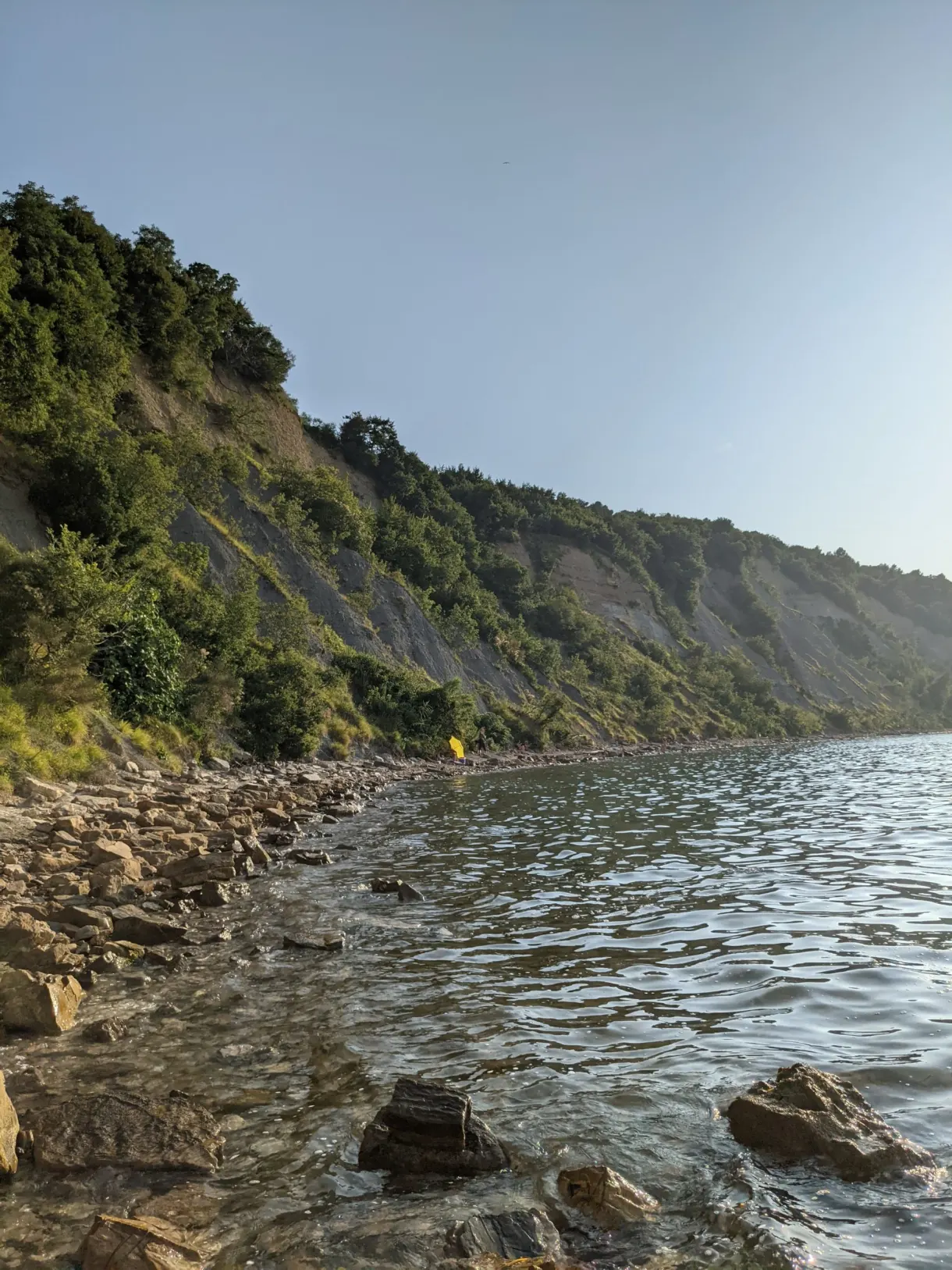 Cliff striped with flysch dropping straight into the water