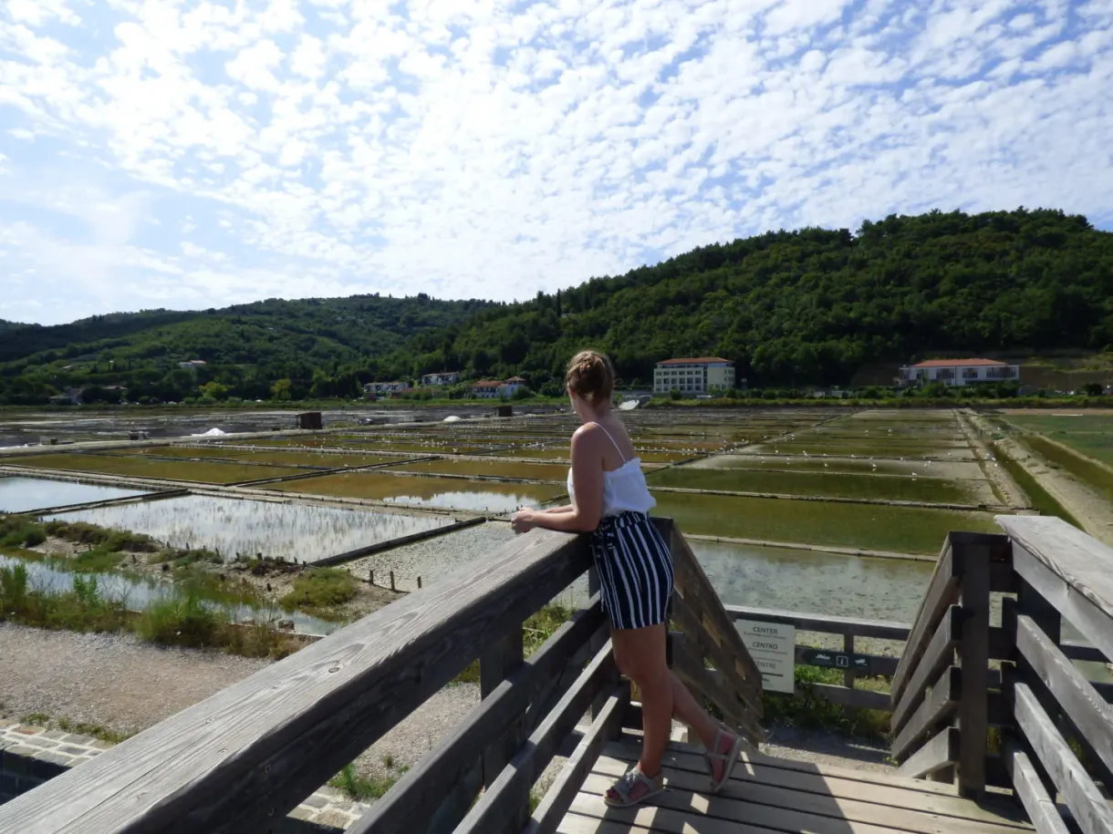 Leaning on the wooden walkway above the salt marshes