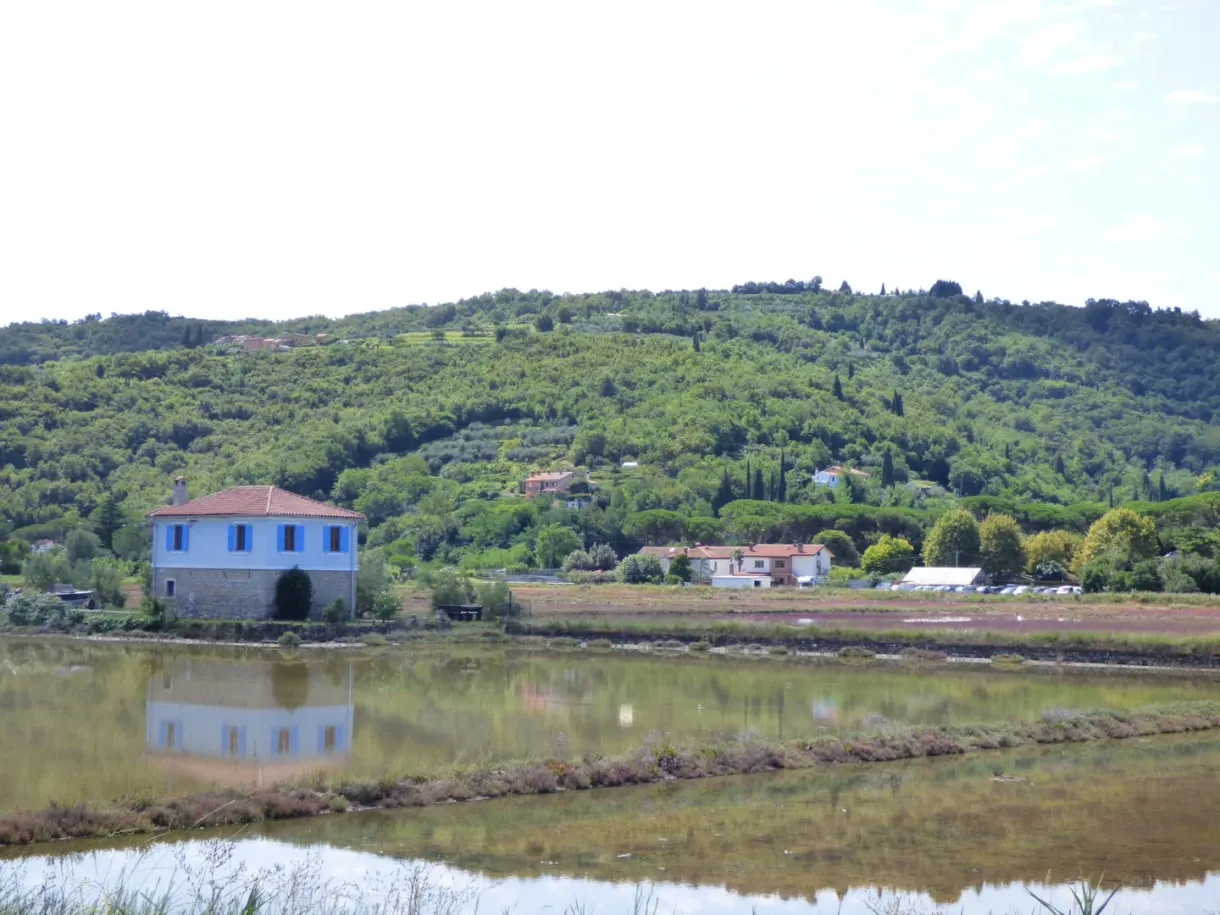 Blue salt worker's house reflected in a still basin