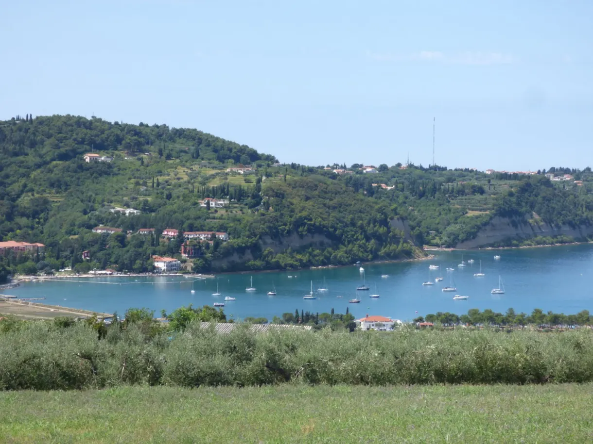 Sailing boats anchored in the bay at the foot of the inhabited hills