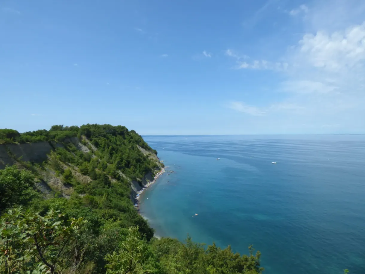 Greenery-covered cliff plunging into turquoise water