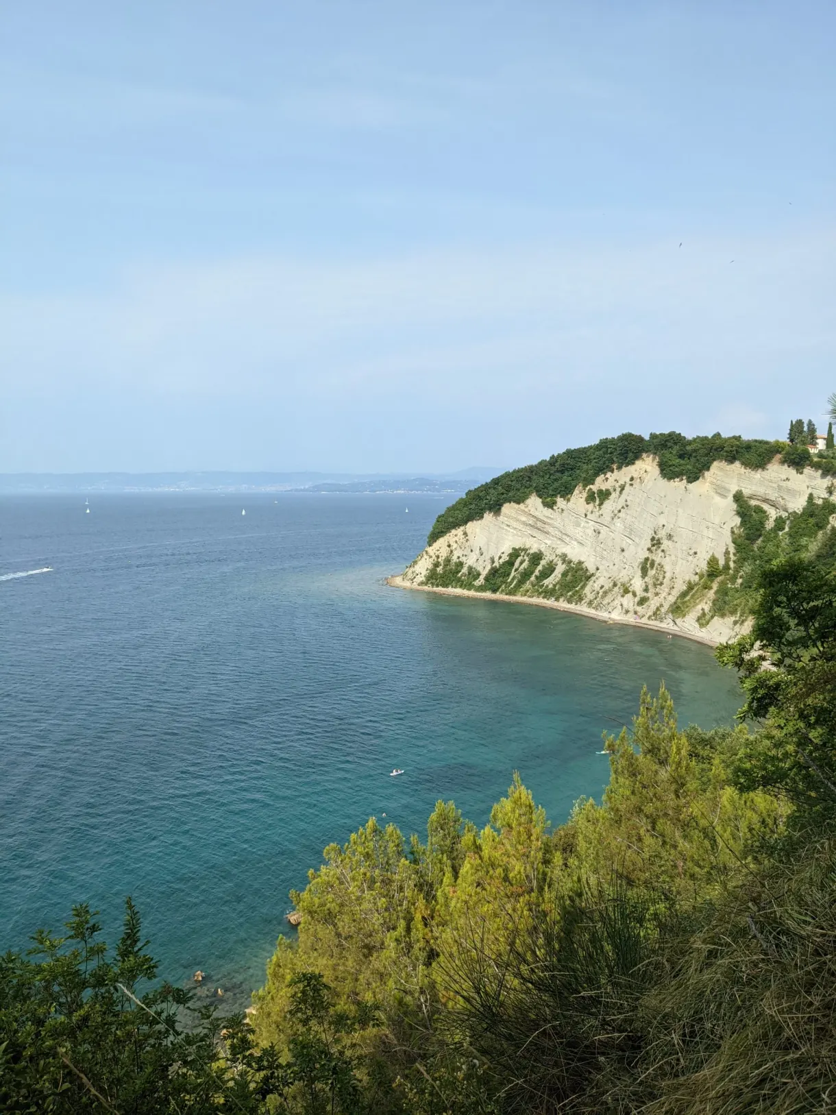 White cliff surrounded by pines seen from the trail