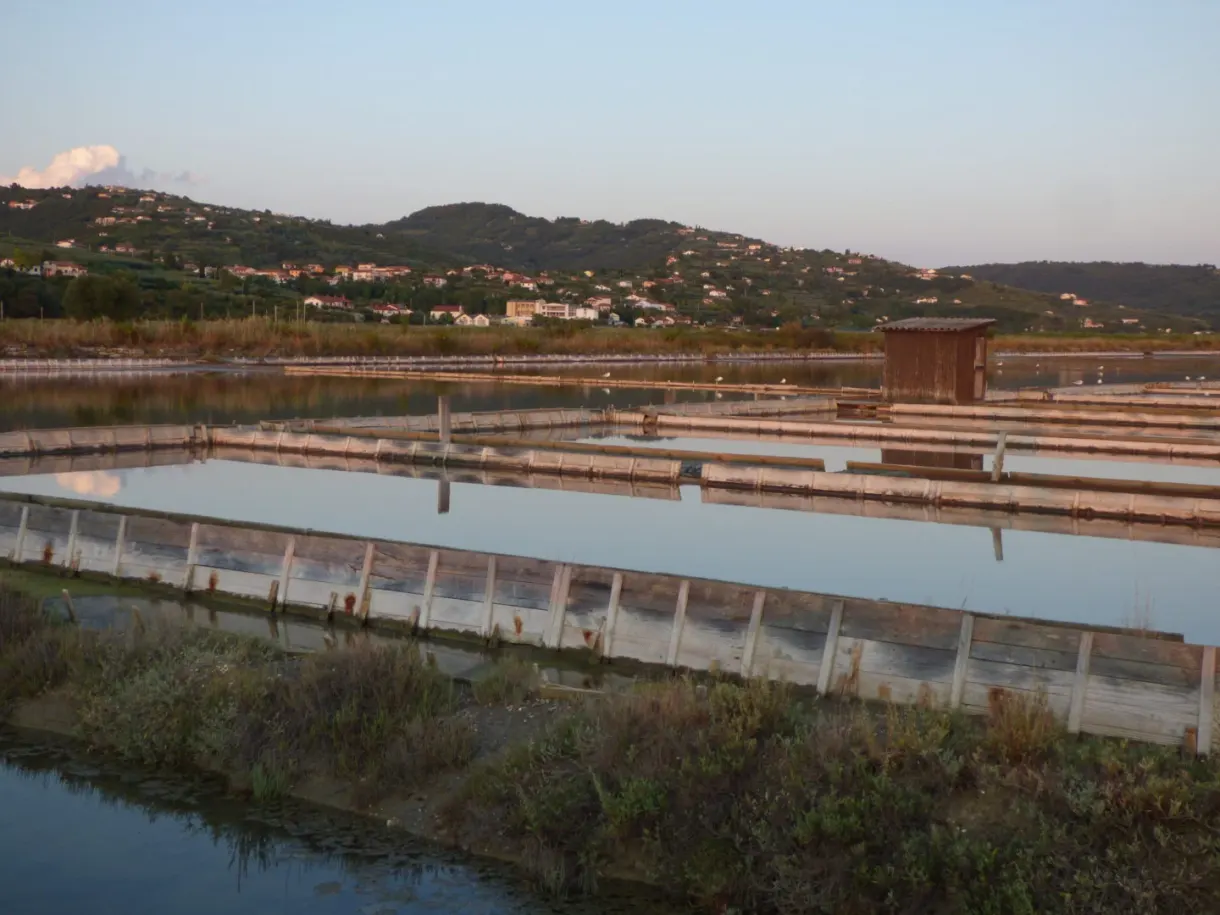 Chequerboard of salt basins below the inhabited hills