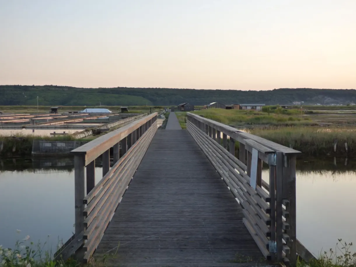 Long wooden walkway crossing the basins in the early morning