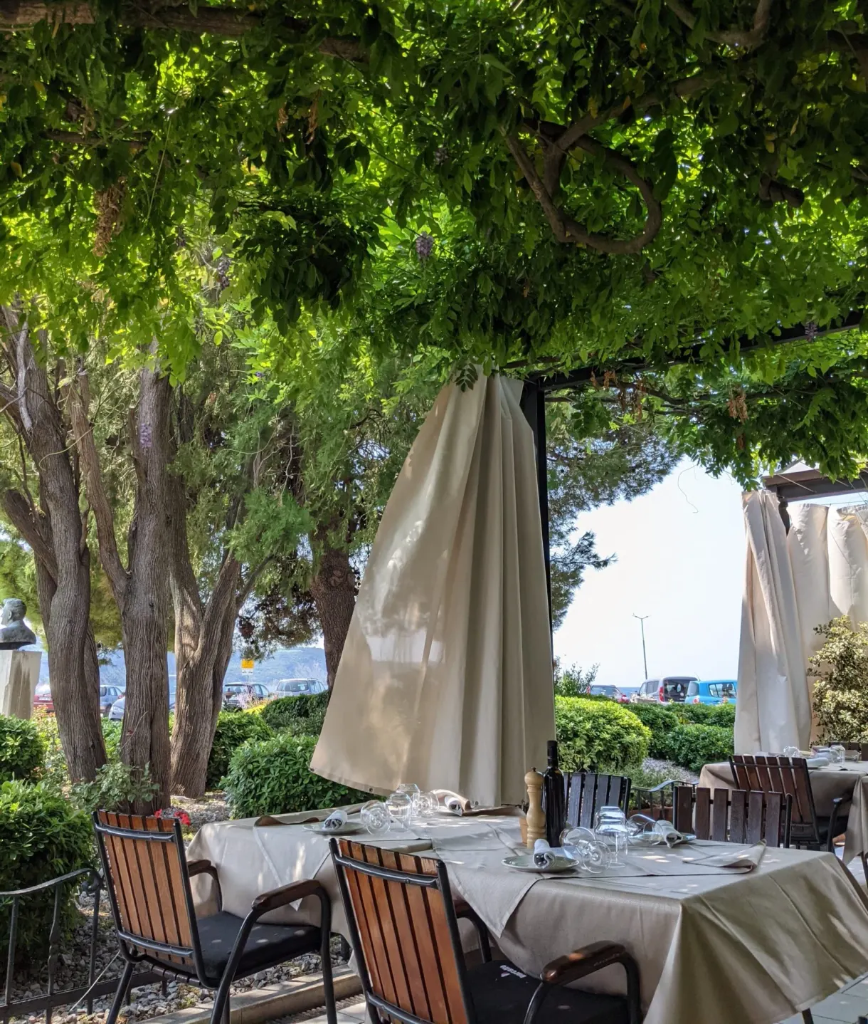 Tables laid under the trees on a restaurant terrace
