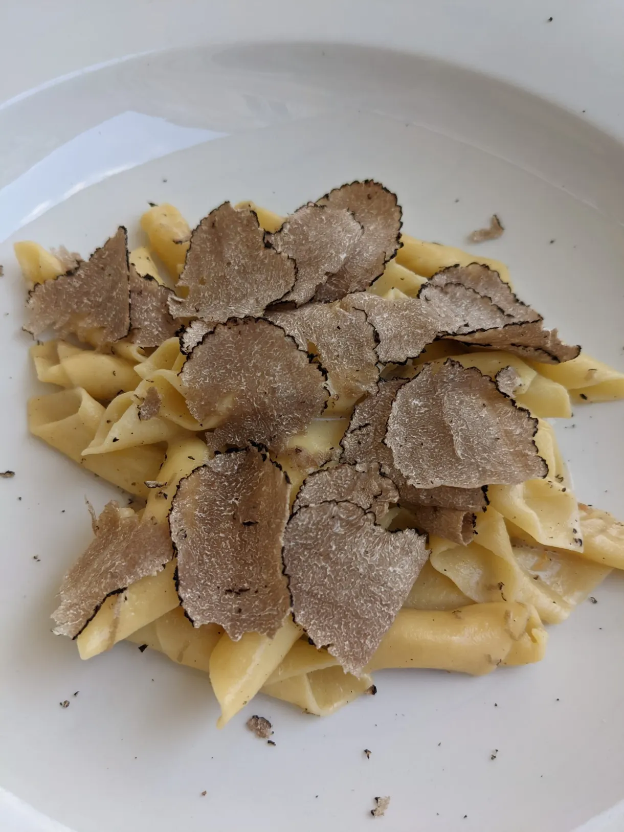 Fresh pasta under a shower of truffle shavings