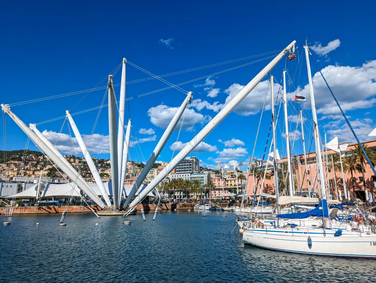 White structure with stays and sailing boats in the harbour basin
