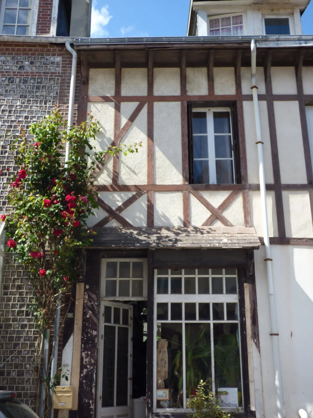Red climbing rose on a half-timbered facade in Yport