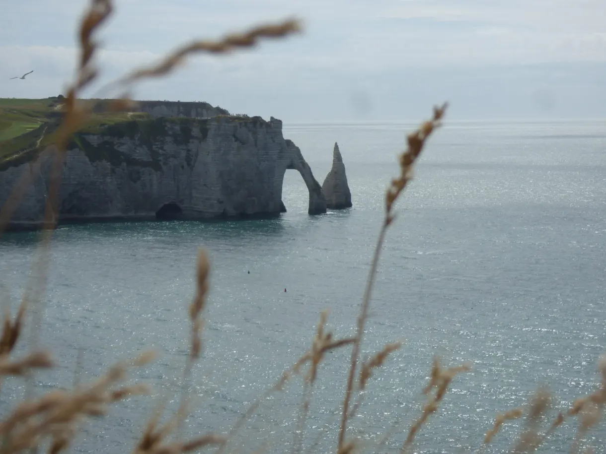 Chalk arch and needle behind stems of dry grass