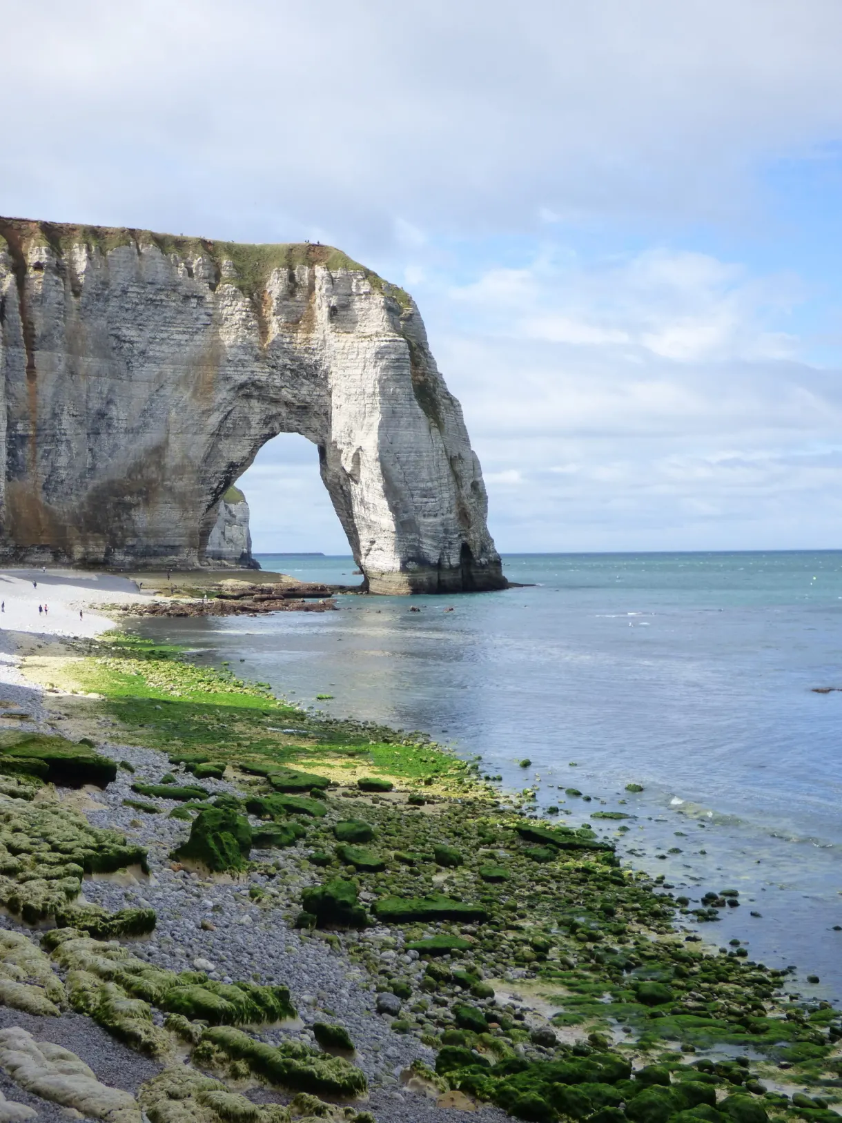 Rocks carpeted with green seaweed in front of the arch of Étretat