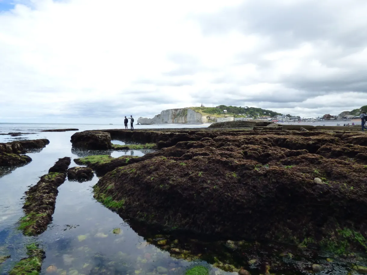 Pools and seaweed on the rock platform at low tide, cliffs behind